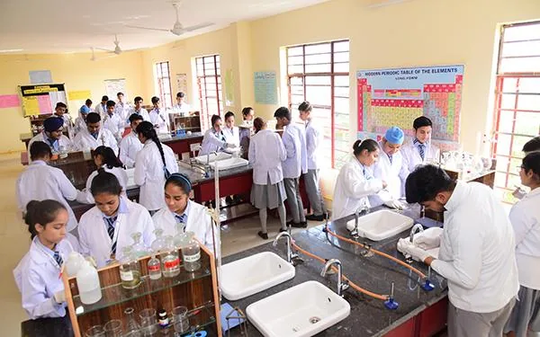 Bright school laboratory with natural light, organised storage and educational displays