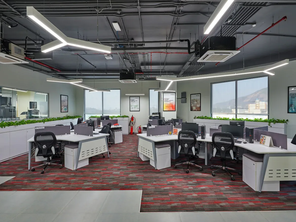 Bright office with natural light, plants and sit-stand desks
