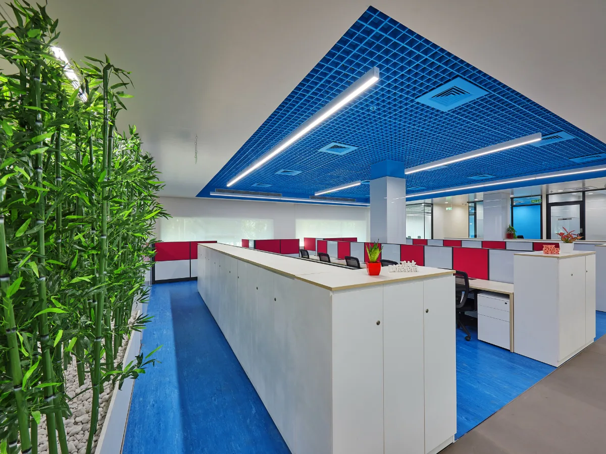 Blue workstations with bamboo planters, Ambernath
