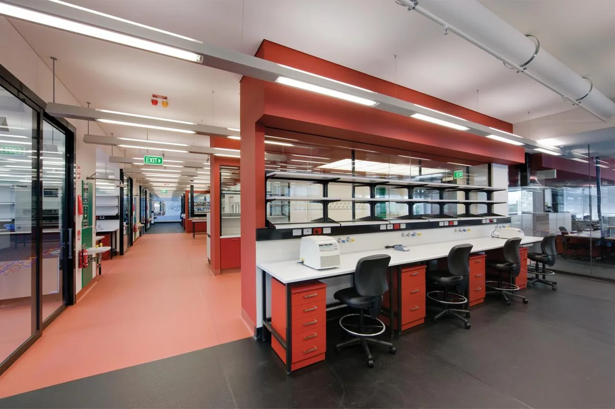 Laboratory with colour used to distinguish work, collaboration and circulation zones